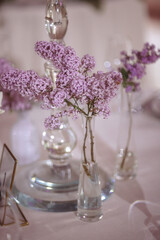 Bouquets of lilac on a white background in glass vases. High quality photo