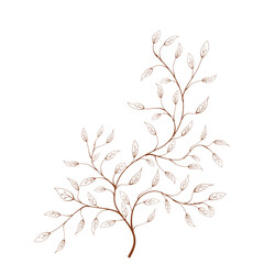 branch with leaves vector. hand drawn of branch and leaf vector. branch with leaves. decorative branch and leaf ornament. Botanical abstract line vector. 
