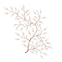 Obraz premium branch with leaves vector. hand drawn of branch and leaf vector. branch with leaves. decorative branch and leaf ornament. Botanical abstract line vector. 