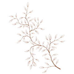 silhouette of a branch with leaves vector. hand drawn of branch and leaf vector. branch with leaves. decorative branch and leaf ornament. Botanical abstract line vector. 