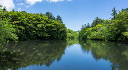軽井沢の雲場池