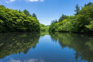 軽井沢の雲場池