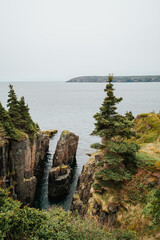 View of sea stacks on Newfoundland coastline on cloudy day.