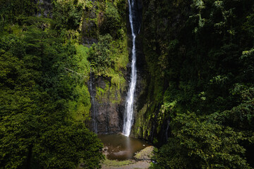 Fototapeta na wymiar Waterfall in Tahiti French Polynesia