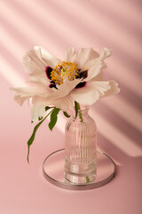 flowers in vase