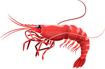 Cartoon shrimp or prawn sea animal. Isolated small crustacean with slender body covered with hard exoskeleton and long antennae, found in marine habitats, prized for succulent meat in culinary dishes
