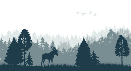 Silhouette of morning forest with moose and ducks flock. Canada or Alaska nature landscape, european forest wildlife or woodland vector background with moose male, trees and flying birds silhouettes