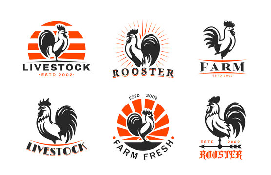 Agriculture and farm rooster icons. Vector cock or cockerel animal with rising sun symbols of poultry farm. Chicken meat and egg labels set for organic food product of farmer market or butcher shop