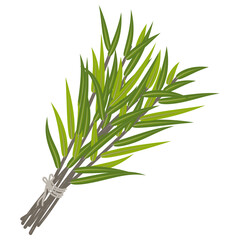 bunch of eucalyptus leaves