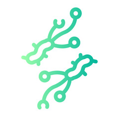 Obraz premium parasite Line Gradient Icon