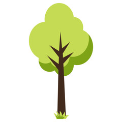 Tree Illustration