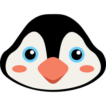 Animal Illustration