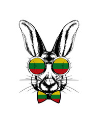 Easter bunny hand drawn portrait. Patriotic sublimation in colors of national flag on white background. Lithuania