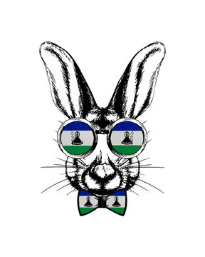 recommend clip art: Easter bunny hand drawn portrait. Patriotic sublimation in colors of national flag on white background. Lesotho