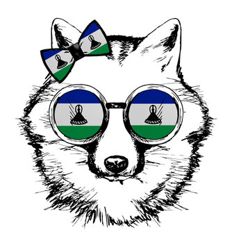 recommend clip art: Fox hand drawn portrait. Patriotic sublimation in colors of national flag on white background. Lesotho