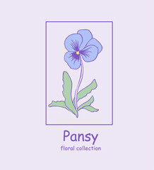  Pansy. Logo. Trendy botanical elements. Hand drawn line leaves and flowers.,flower illustration, violet , purple , pansies , bloom, blossom