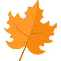 Autum Leaf