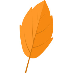 Autum Leaf