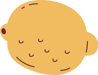 Lemon Fruit Doodle