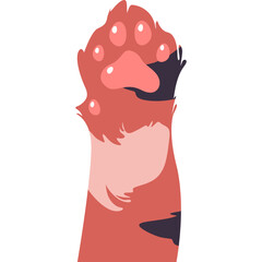 Cat Paw Illustration