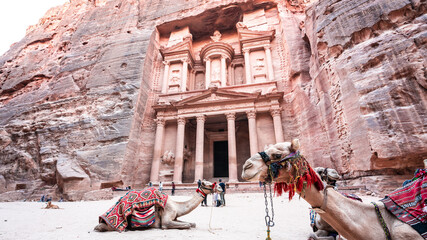 view of treasury with camels at petra jordan