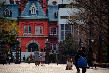 北海道　札幌　赤レンガ旧庁舎の犬と人物