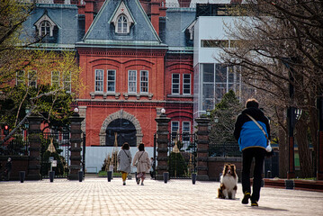 北海道　札幌　赤レンガ旧庁舎の犬と人物