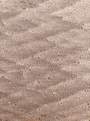 tracks in sand
