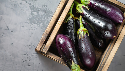 Close-up view of wet eggplants in vintage wooden box. Aubergines fruits with drops of water on grey...