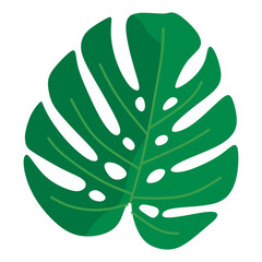 Green Monstera Tropical Leaf