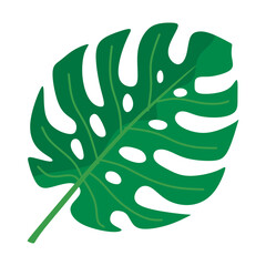 Green Monstera Tropical Leaf