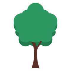 Tree Illustration
