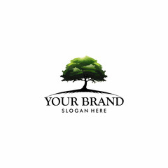 Oak tree logo illustration. Vector silhouette of a tree.