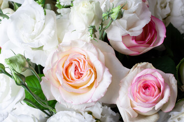 Rose flower bouquet close up. Background of white and pink roses.