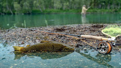 Fototapeta na wymiar A fly fisherman's freshly caught rainbow trout, stones of a mountain river, a fishing rod and landing net.