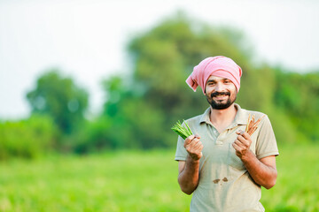 Indian Cwopea farming. farmer holding Cwopea in hands , happy farmer