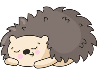 Hedgehog Cute Character