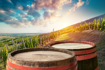 Barrel Wineglasses Cheese And Bottle In Vineyard At Sunset . High quality photo