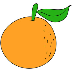 orange fruit illustration