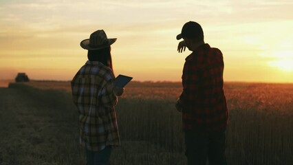Silhouette of family two farmers standing at sunset in rays in field and looking at digital tablet. Online work with modern technology to help in agricultural business of growing and selling wheat.