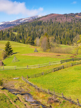 fresh spring scenery with meadows, hills, and mountains. beautiful rural landscape with forested slopes in morning light
