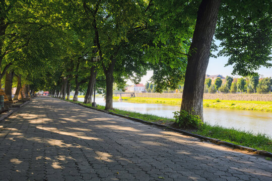 river in the town in morning light. warm sunny weather in uzhhorod