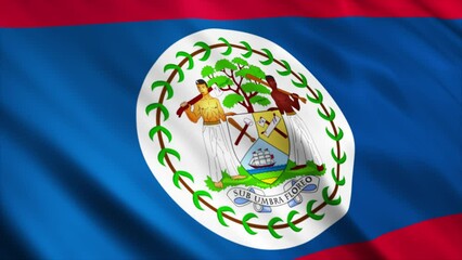 Belize National Flag Animation

High Quality Waving Flag Animation

Loop able, Extend the duration as required - Powered by Adobe