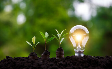 Energy saving light bulb and tree growing on stack of coins on nature background.Savings,account and finance concept.