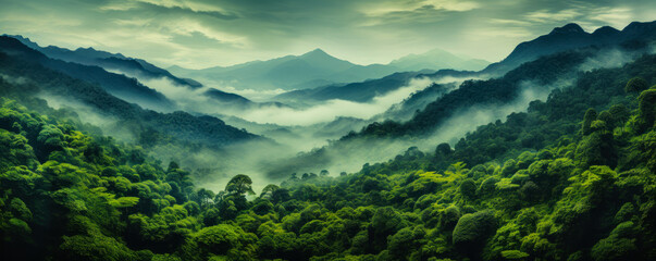 Foggy Jungle Landscape: Aerial View of Misty Valley