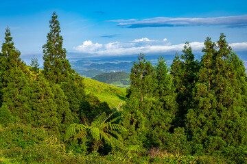 Traditional landscape in the Azores, lush green vegetation around. Aerial View. Sao Miguel, Azores, Portugal. 