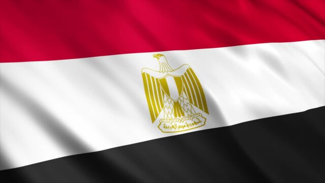Egypt National Flag Animation

High Quality Waving Flag Animation

Loop able, Extend the duration as required