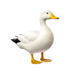 Fototapeta premium ดีไซน์ที่ยังไม่ได้ตั้งชื่อ - 19