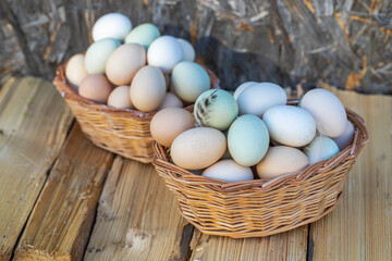 Village homemade chicken eggs, outdoors