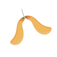 Simple Autumn maple seed. Hand drawn element for autumn decorative design, halloween invitation, harvest or thanksgiving. Vector illustration